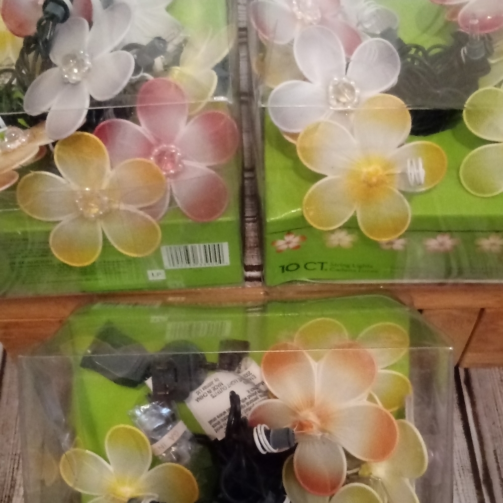 Bundle of String Lights